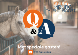 Q&A met special guests